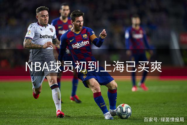 NBA球员初到上海已买爽